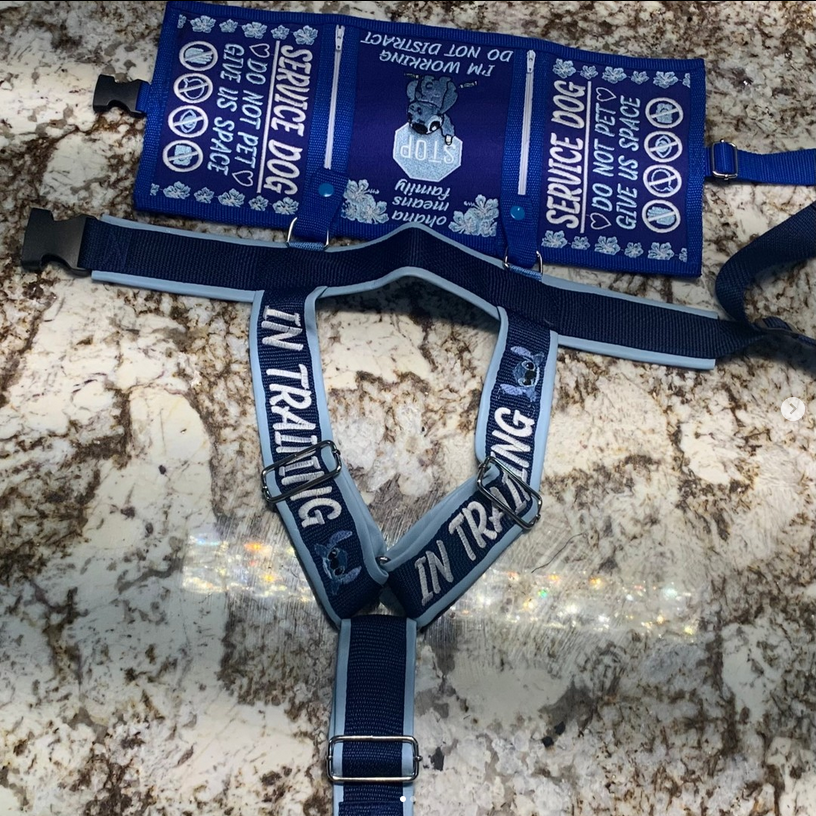 Custom Y-Front Harness