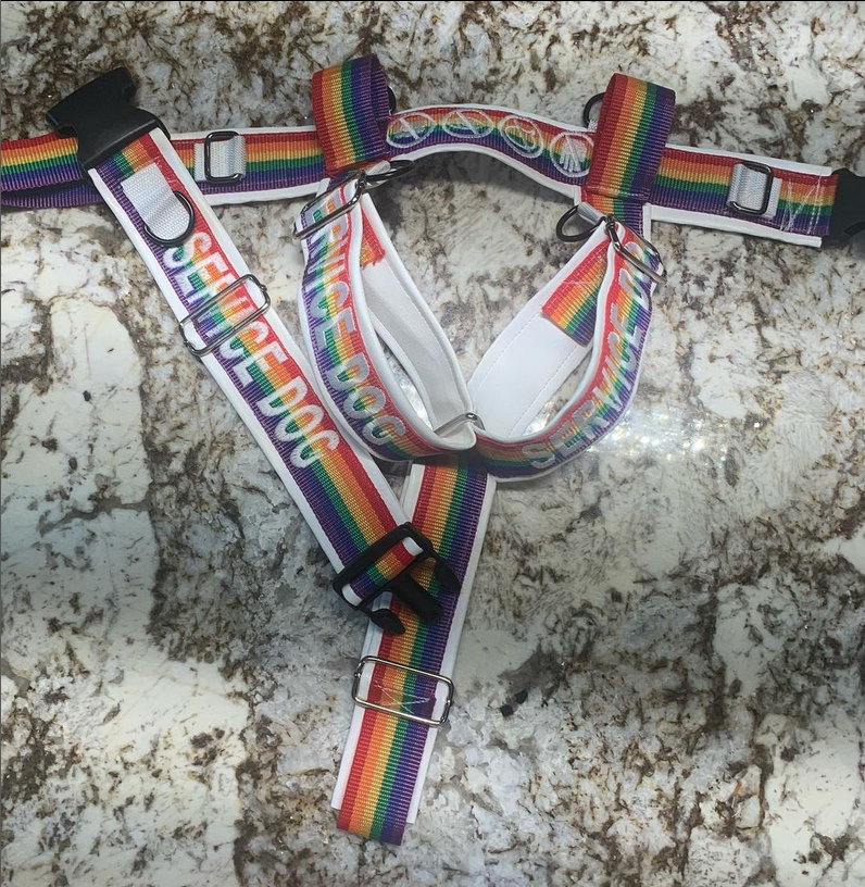 Custom Y-Front Harness