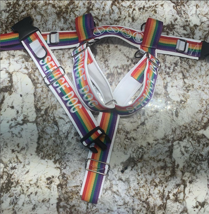Custom Y-Front Harness