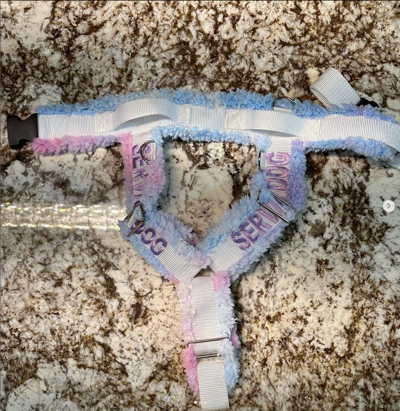 Custom Y-Front Harness